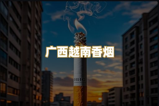 广西越南香烟